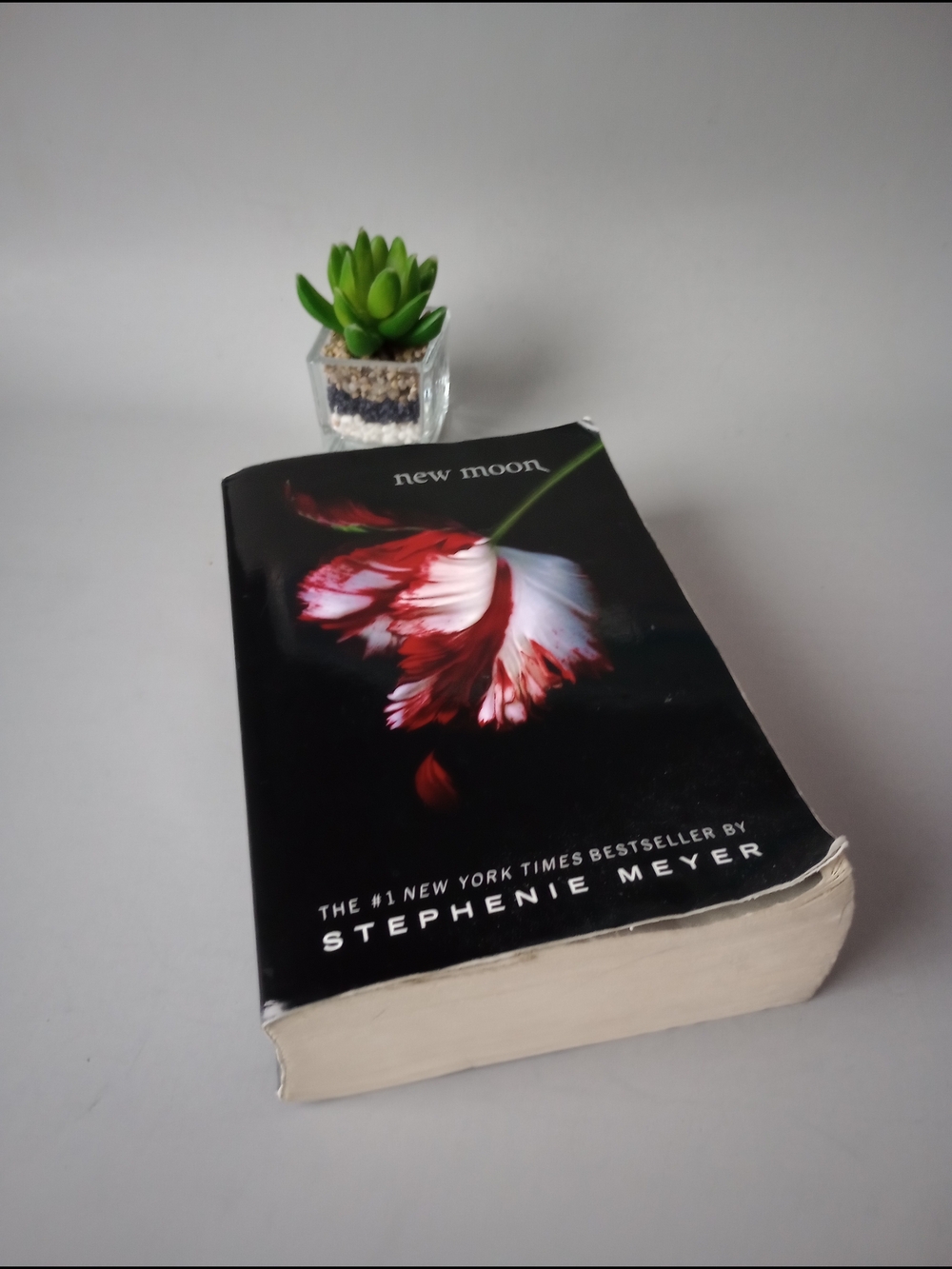 The Twilight Saga New Moon by Stephenie Meyer 2008 Trade Paperback) Good Cond.